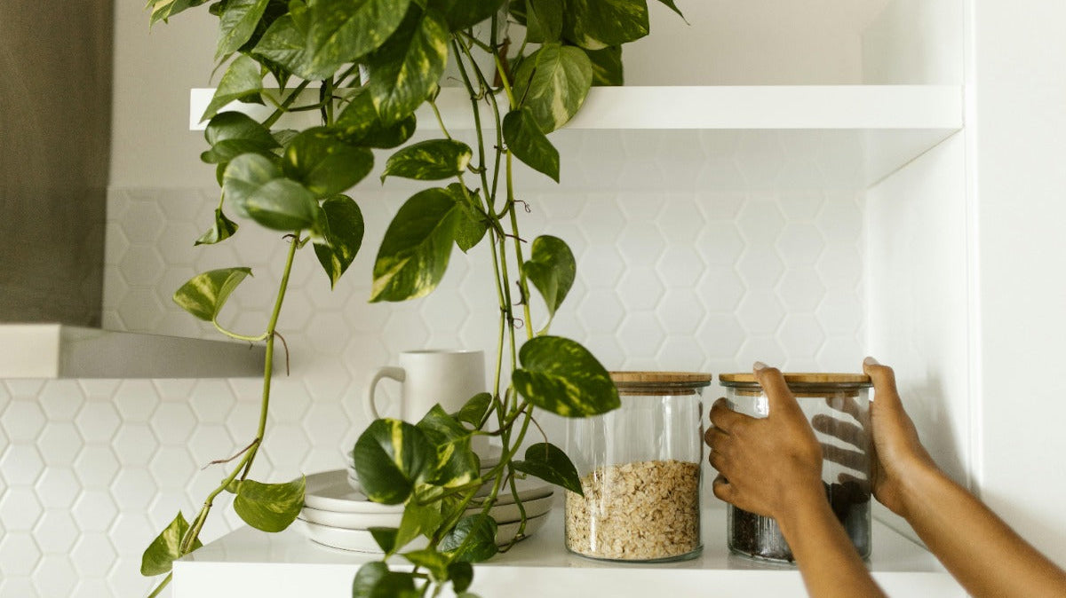 White floating shelves with jars