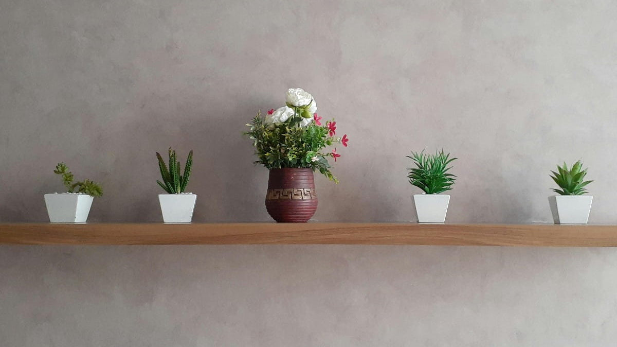 A floating shelf with plants on it