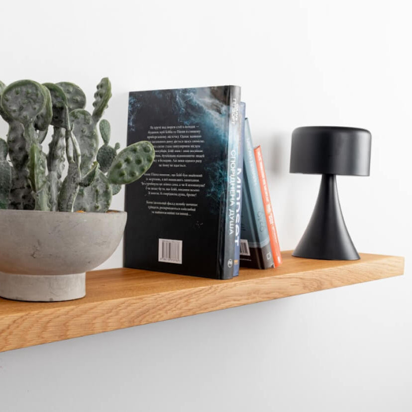 Wooden shelf with books, a cactus plant, and a black lamp on a white wall background