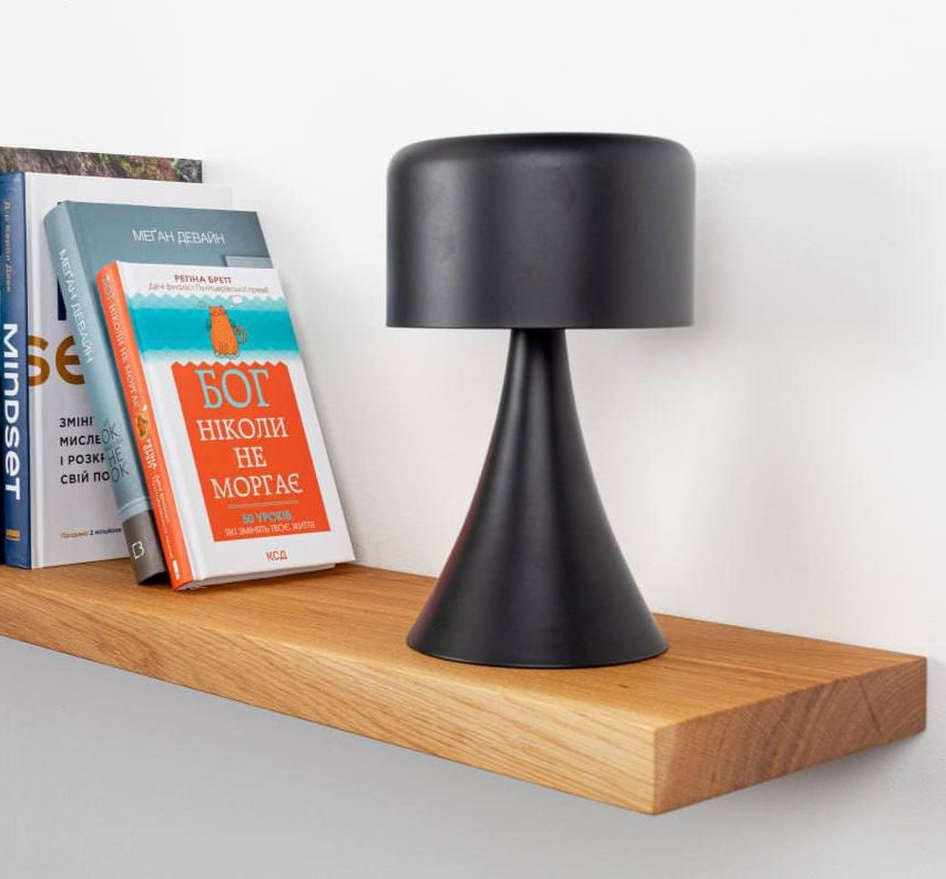 Wooden shelf with a black lamp, books, and a potted plant on a white wall.