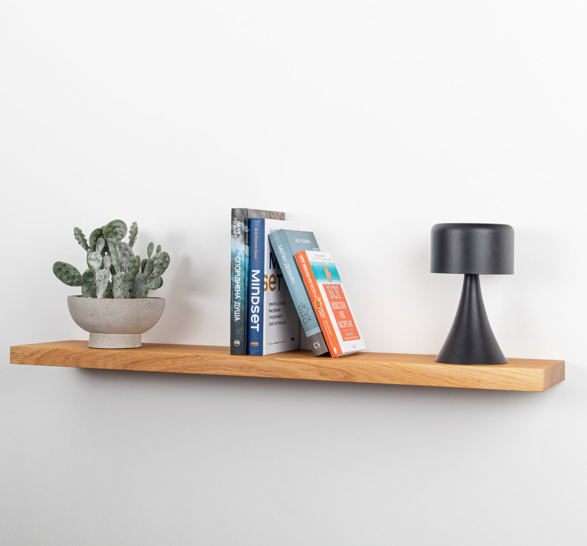 Wooden shelf with a potted plant, books, and a black lamp on a white wall.