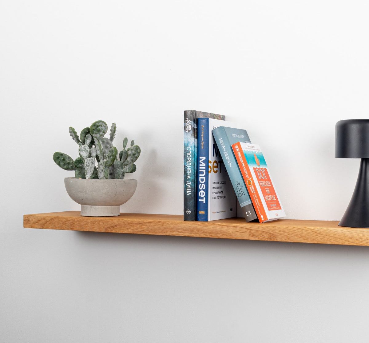 Wooden shelf with a potted plant and books against a white wall