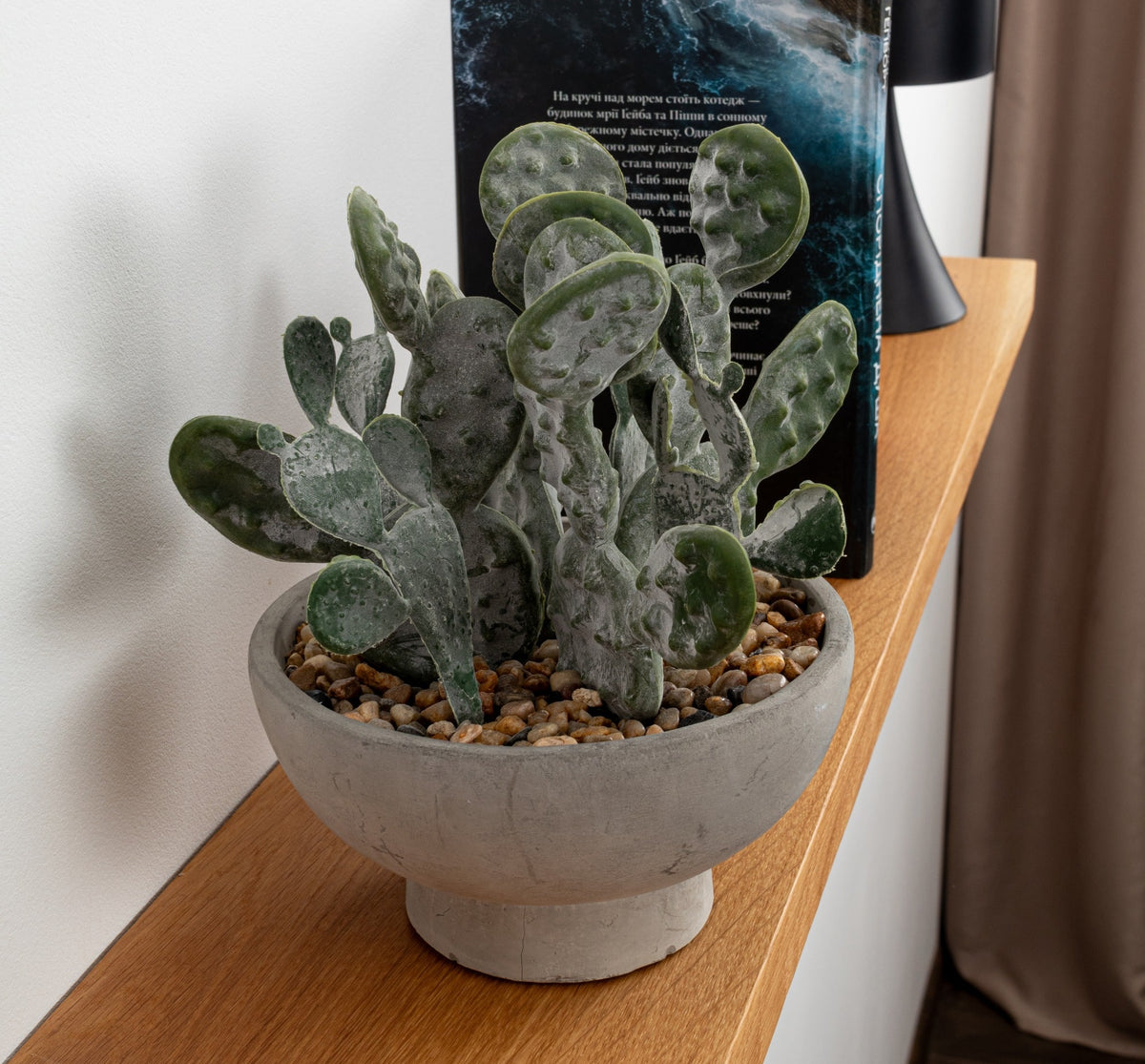 Potted cactus on a wooden surface with a book in the background