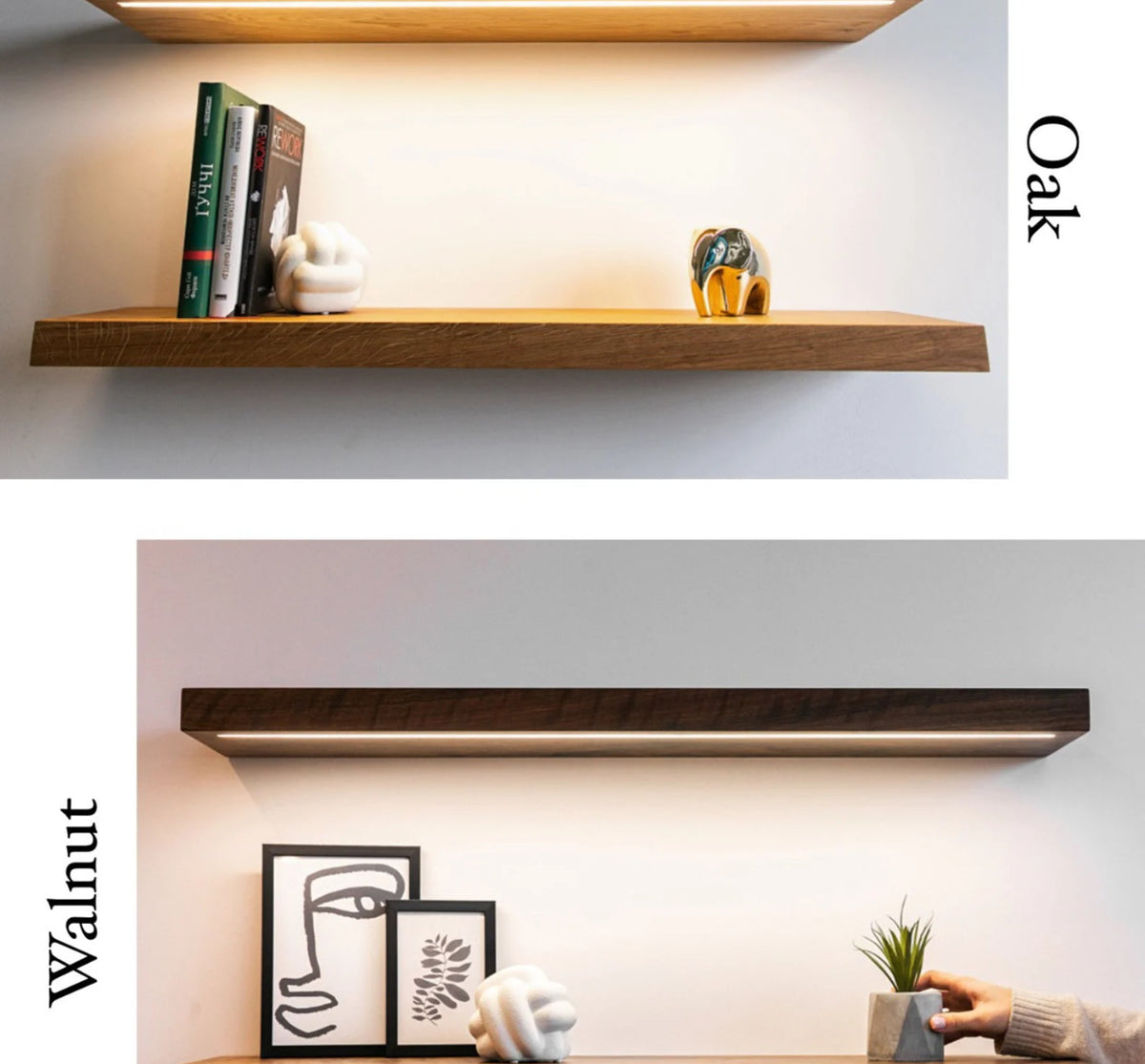 Wooden shelves with lighting in oak and walnut finishes on a white wall.