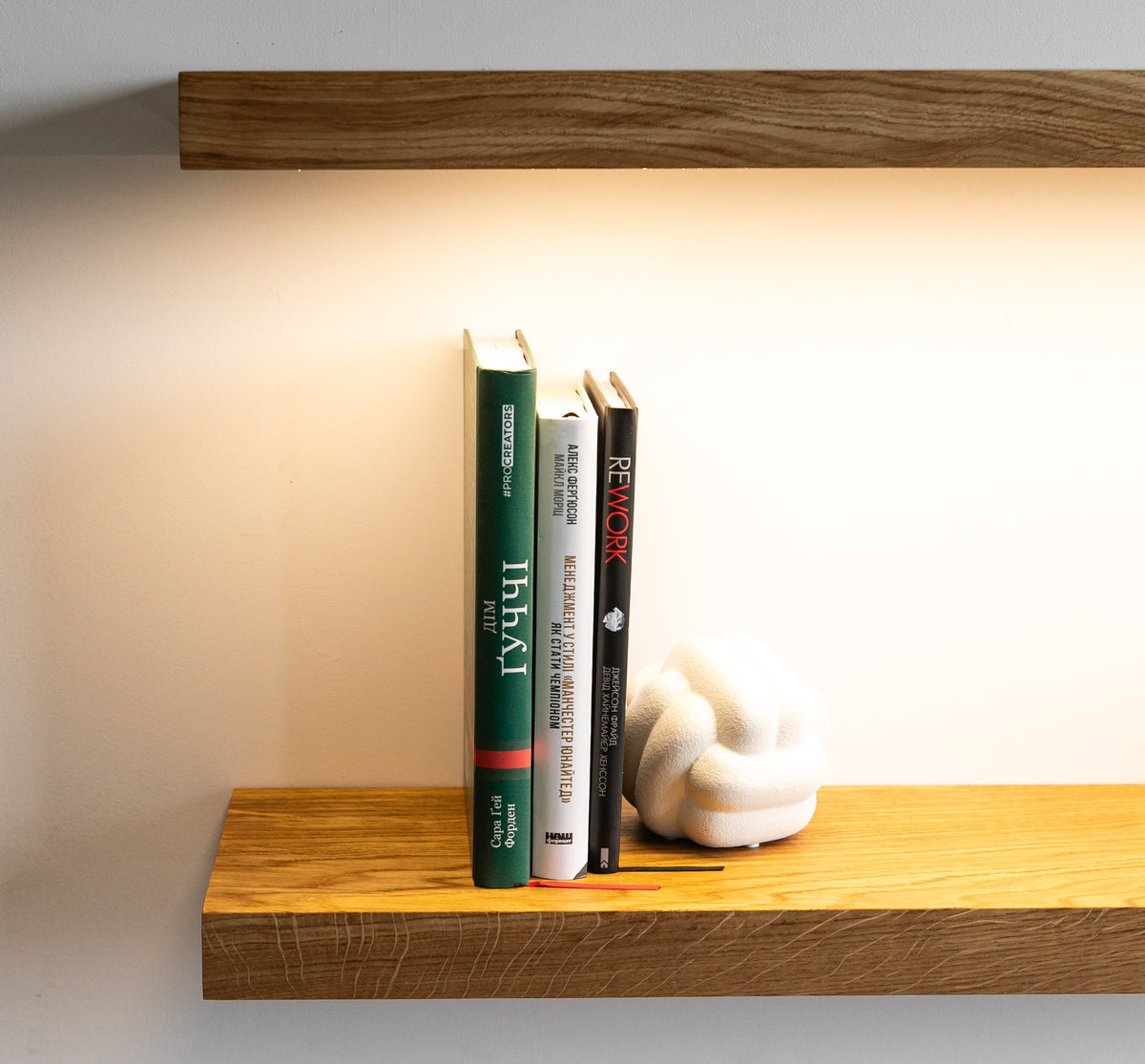 Wooden shelf with books and a decorative object against a plain background