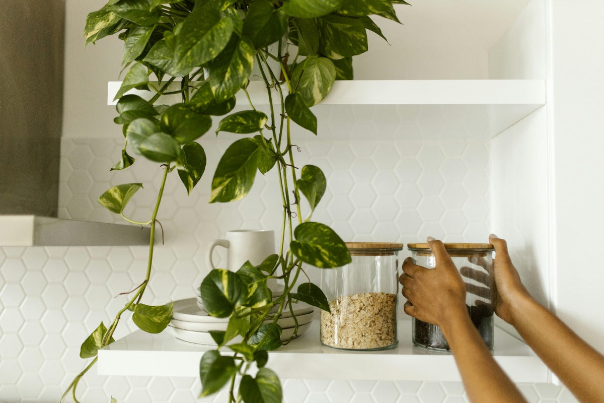 White floating shelves with jars