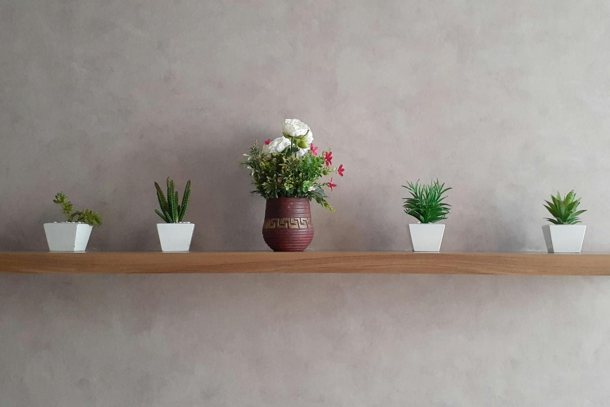 A floating shelf with plants on it