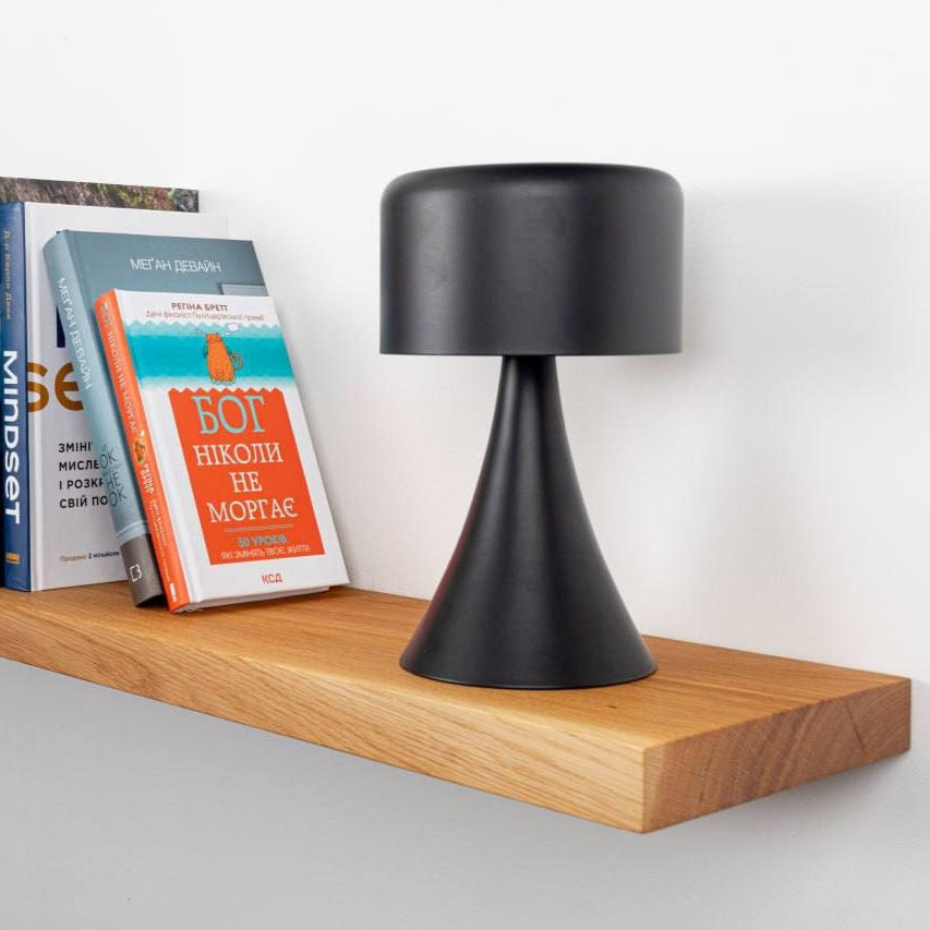 Wooden shelf with a black lamp, books, and a potted plant on a white wall.