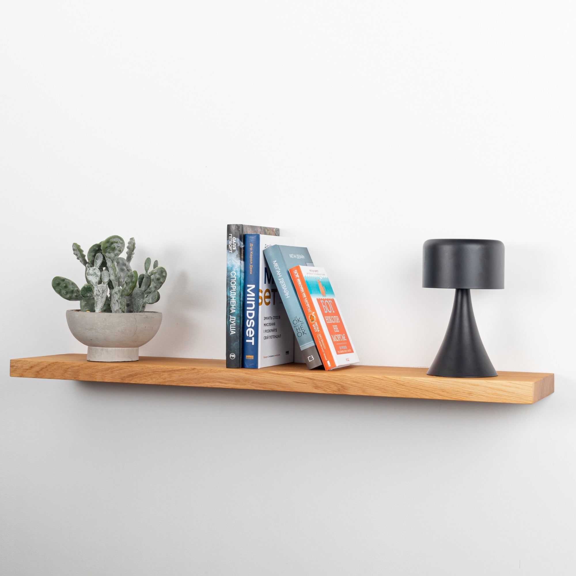Wooden shelf with a potted plant, books, and a black lamp on a white wall.