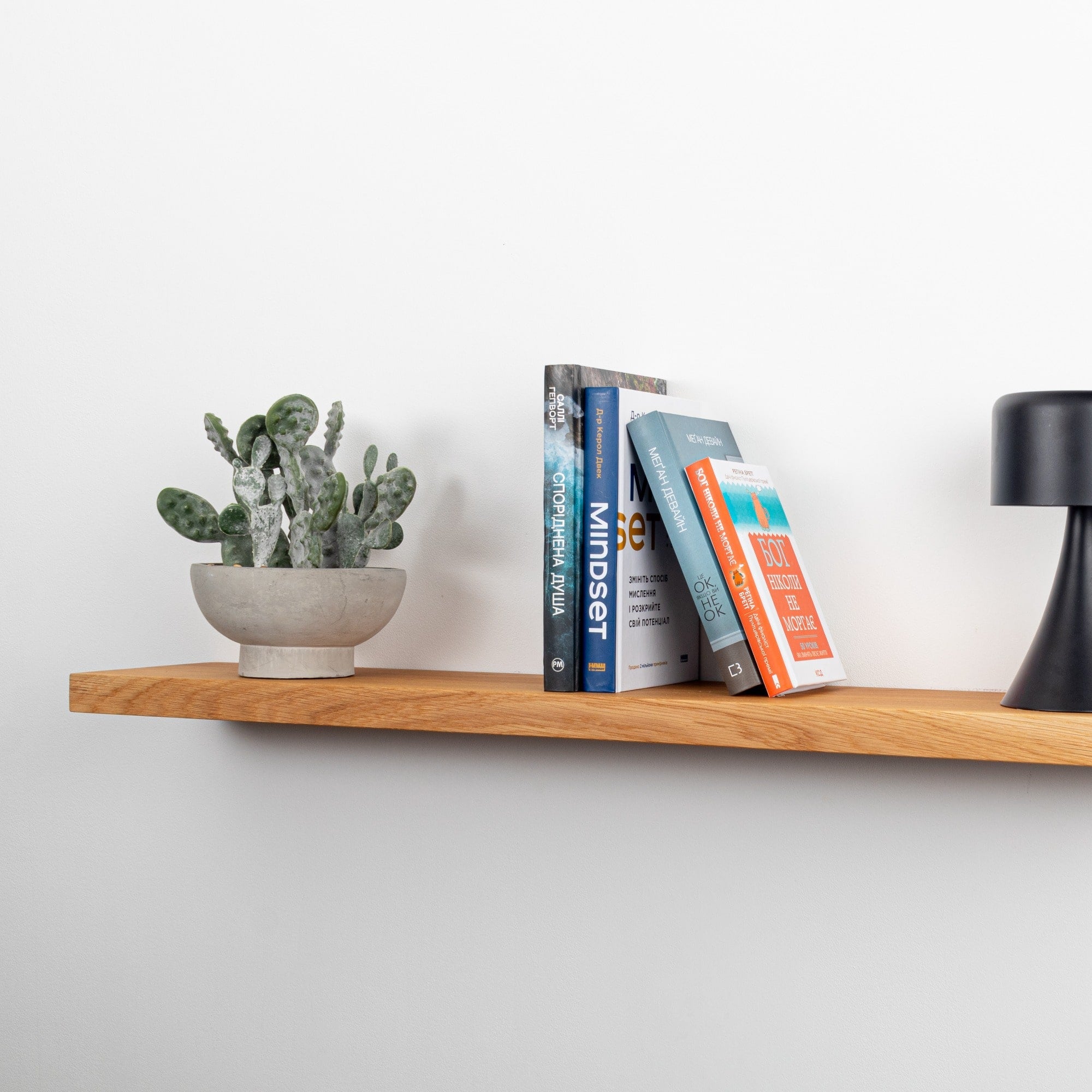 Wooden shelf with a potted plant and books against a white wall