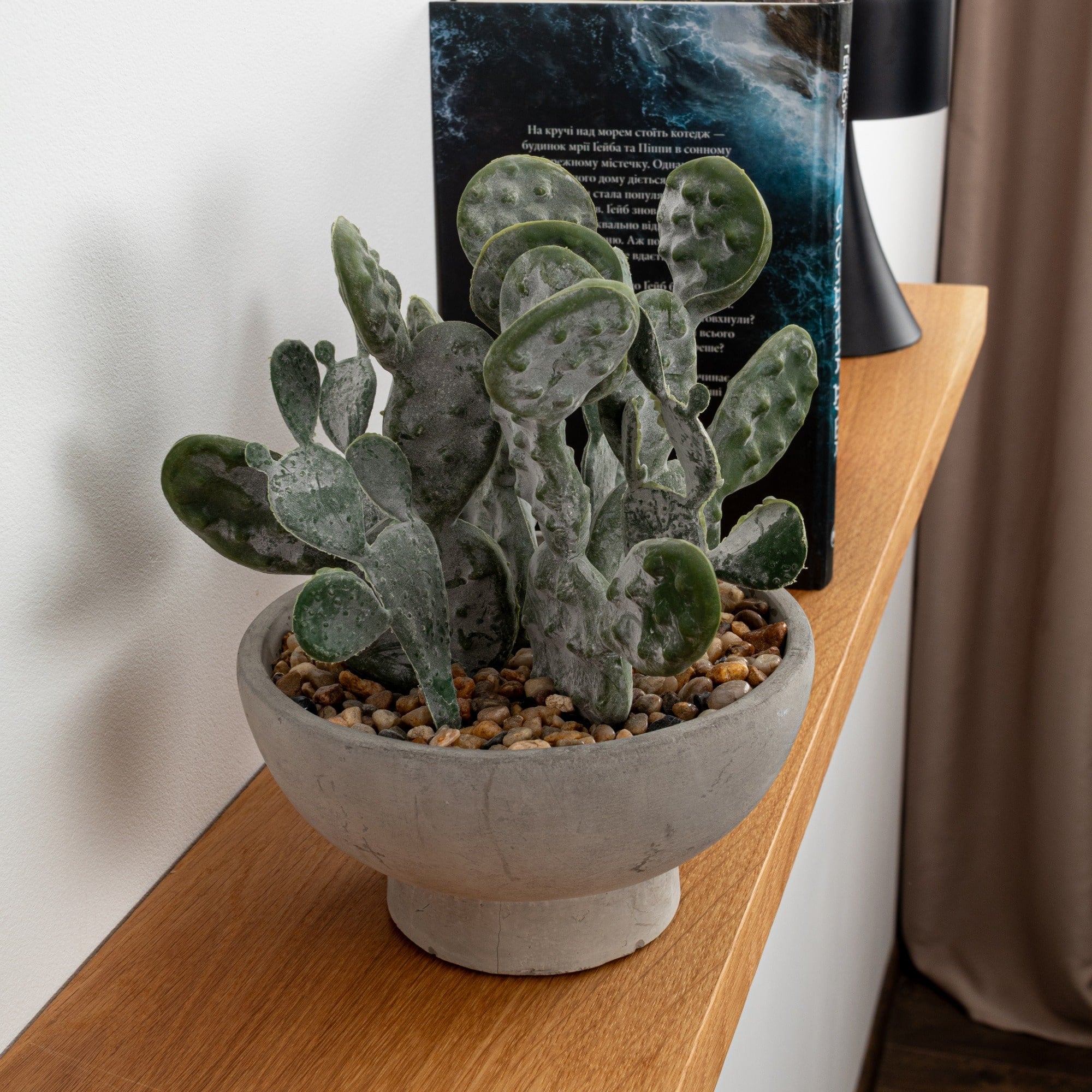Potted cactus on a wooden surface with a book in the background