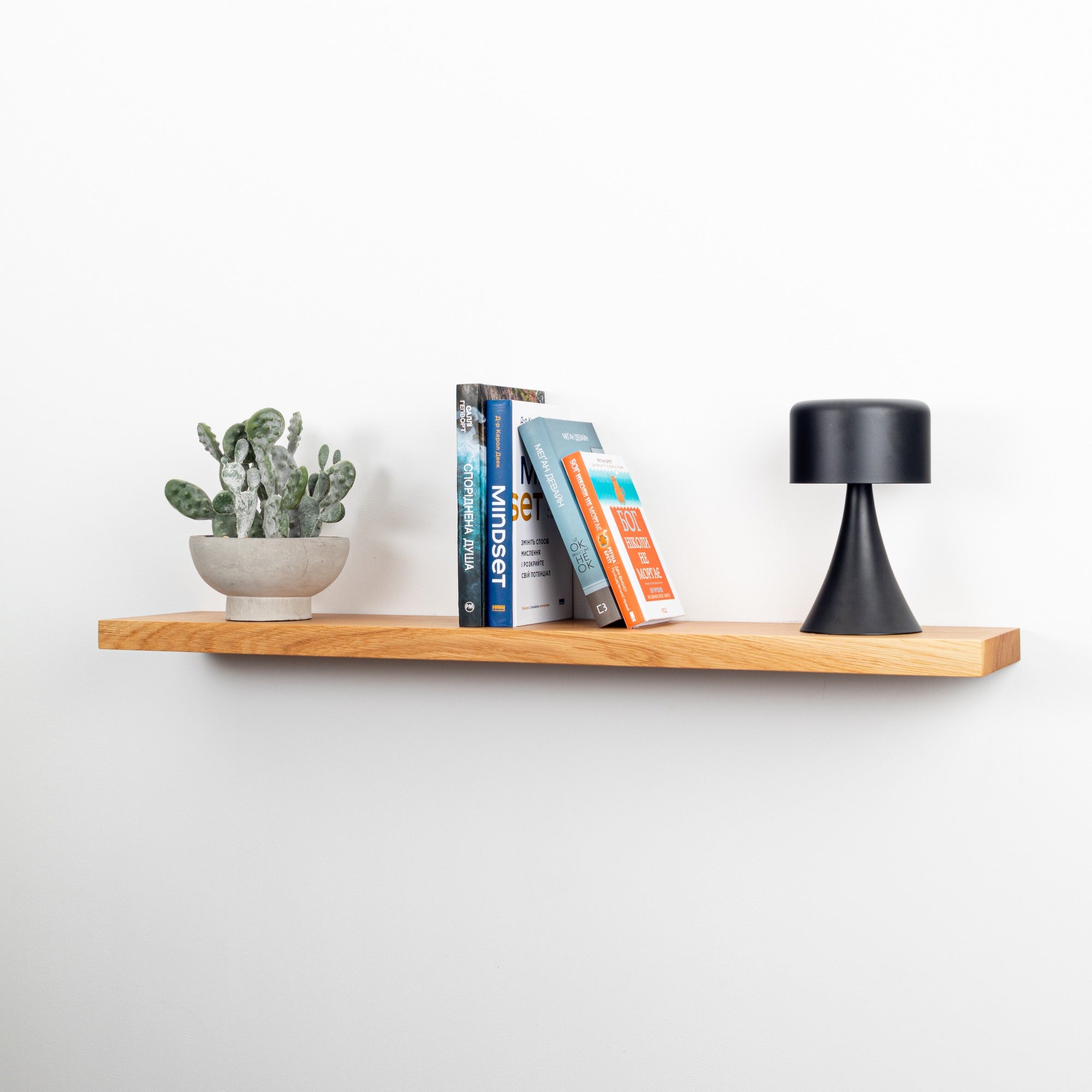 Wooden shelf with a cactus, books, and a black lamp on a white wall