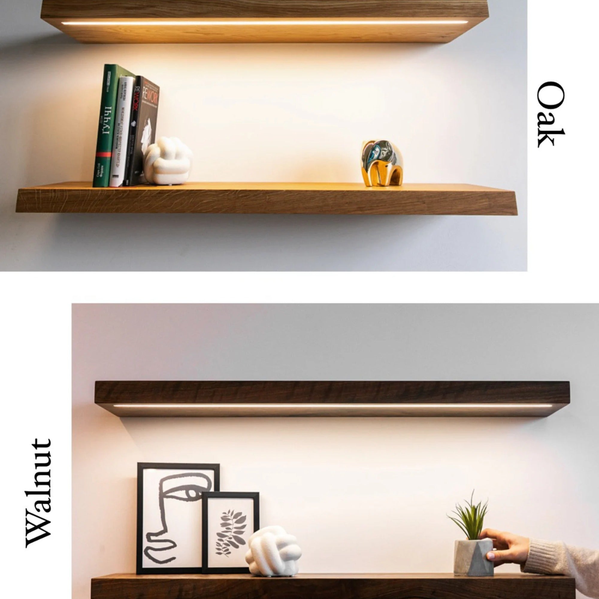Wooden shelves with lighting in oak and walnut finishes on a white wall.