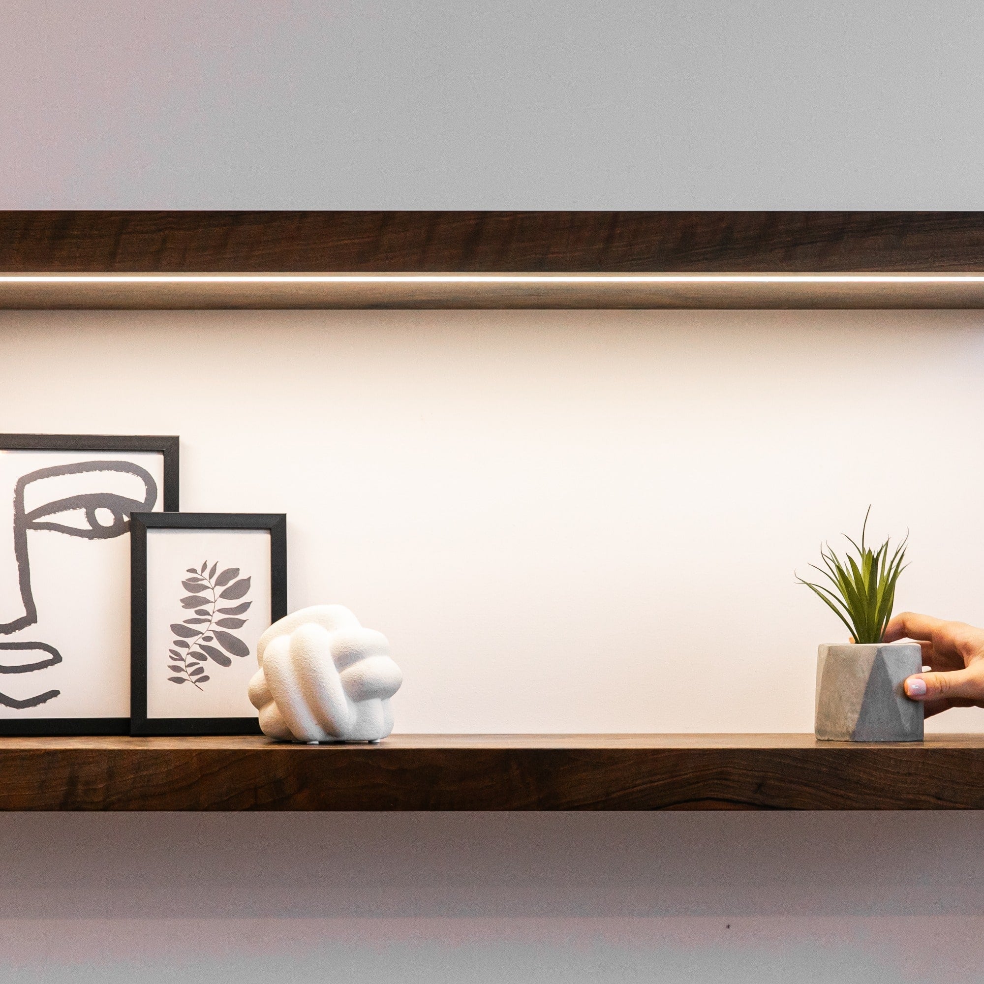Wooden shelf with decorative items including a plant, sculpture, and framed art on a white wall.