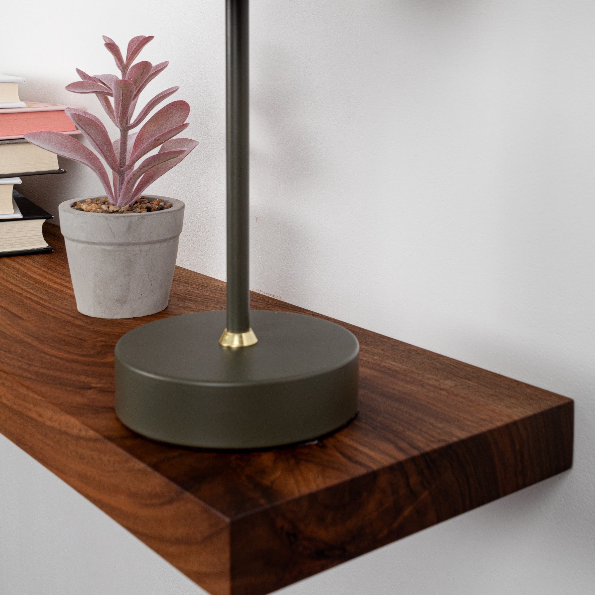 Decorative lamp with a plant and books on a wooden surface